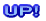 UP! 